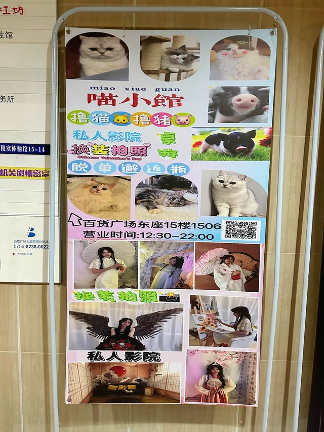 ⭐️貓貓Cafe竟然有豬仲有狗？🐱🐷🐶