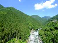 四國景點！日本三大秘景之一，大步危，大步踏過祖谷藤蔓橋🌉