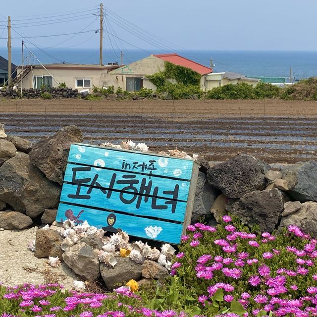 🍊제주 이색데이트 추천 해녀체험🤿(도시해녀)