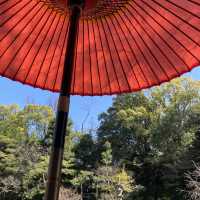 平安神宮内の日本庭園で四季を感じる旅