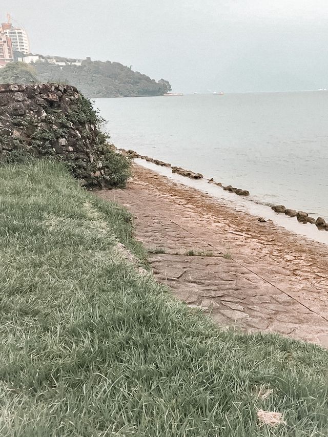 台灣飽覽美景之日月潭🍃