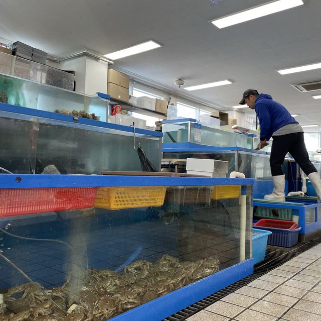 푸짐한 인심, 신선한 횟감 강릉항 회센터 솔향 횟집🐠