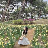 수선화명소 서산 유기방가옥