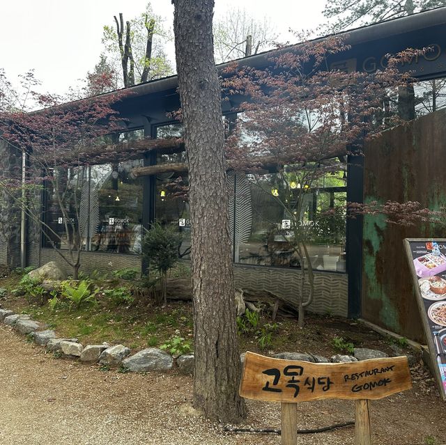 春川市-南怡島