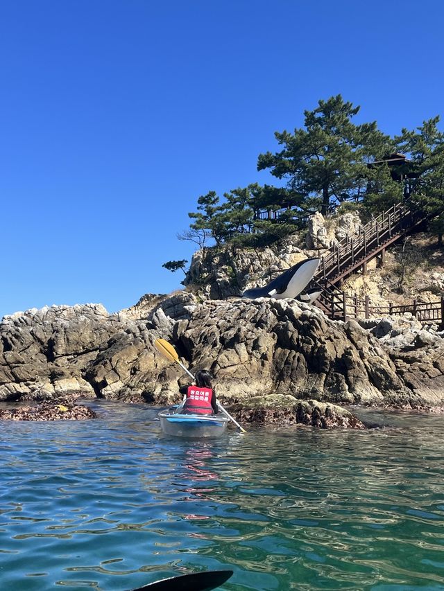 한국의 나폴리 장호항 제대로 즐기기🤿🚣‍♂️