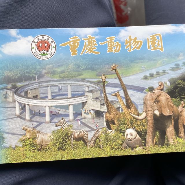 包羅萬有的重慶動物園