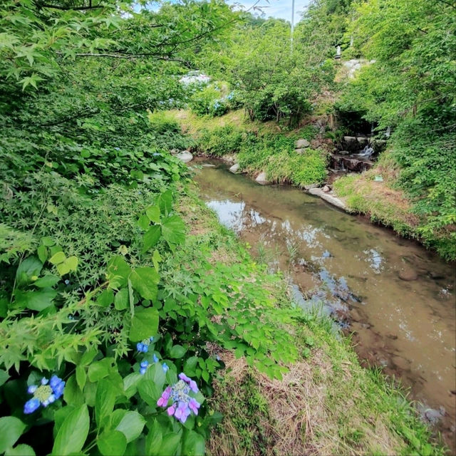 全て茨木産！手作りジェラード　見山の郷