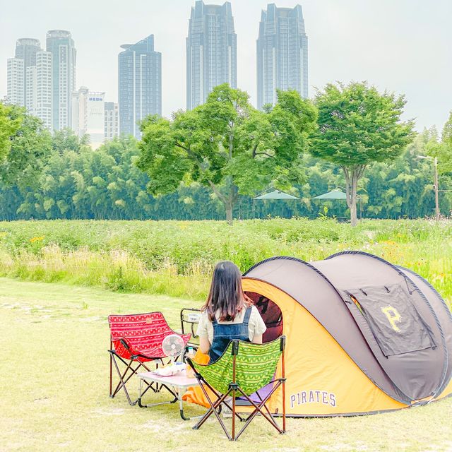 피크닉 가기 좋은 울산 태화강국가정원