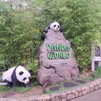 韓國🇰🇷愛寶樂園Everland😍參觀可愛熊貓館🐼