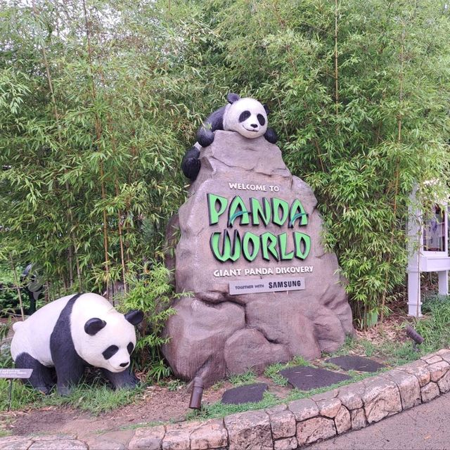 韓國🇰🇷愛寶樂園Everland😍參觀可愛熊貓館🐼