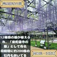曼陀羅寺公園