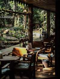 บ้านธารชีวี จ.เชียงใหม่ ที่พักสุดชิลริมลำธาร