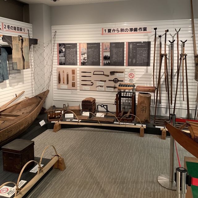 Interesting Seaweed Museum 