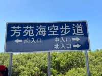 彰化-漫步在紅樹林🌸|芳苑海空步道|（貼近大自然）
