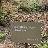 조선시대 흥선대원군의 별장, 고종의 임시거처 석파정🌸