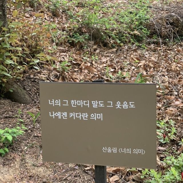 조선시대 흥선대원군의 별장, 고종의 임시거처 석파정🌸
