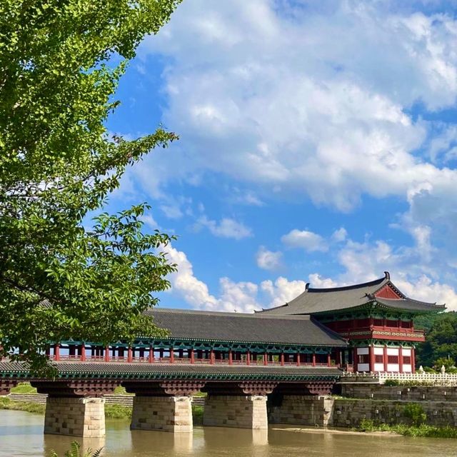 🌉 경주 첨성대와 월정교, 왕릉 다양한 신라 유적이 있는 경주 역사유적 월성지구🌝💕