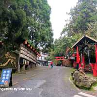 我思好景常青戀情永在的懷念-養身養性