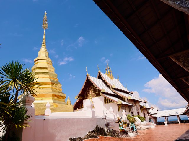 ✨ วัดพระธาตุปูแจ สักการะ ไหว้พระขอพร🙏🏻😇