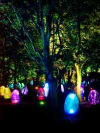 大阪戶外Teamlab-突破物質界限嘅藝術展