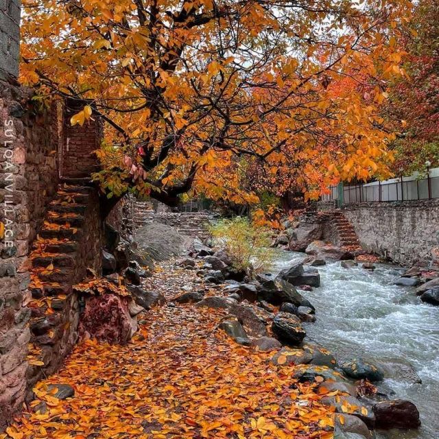 A side view of Kashmir 