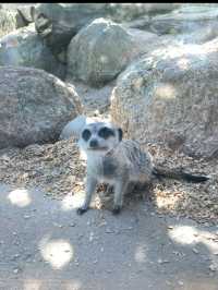 ウェロビー自然動物園／メルボルン