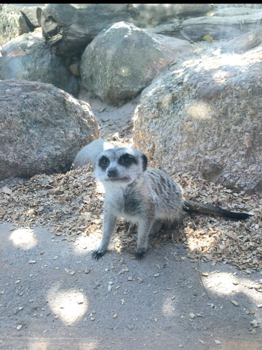 ウェロビー自然動物園／メルボルン