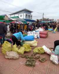 ตลาดริมโขง ดูของป่าจากฝั่งลาว ที่นครพนม 