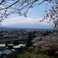 朝聖富士山第一景 新倉山淺間公園(part2)
