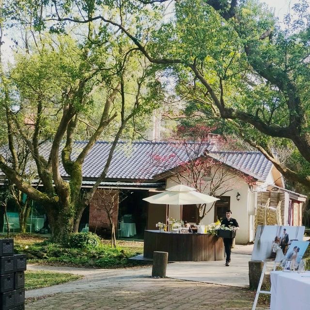 我們結婚吧！1956 Vintage


