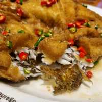 The Best Seafood Restaurant