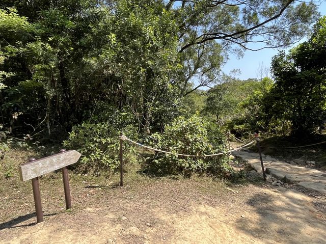 挑戰成功！由馬鞍山村出發行上昂平草原