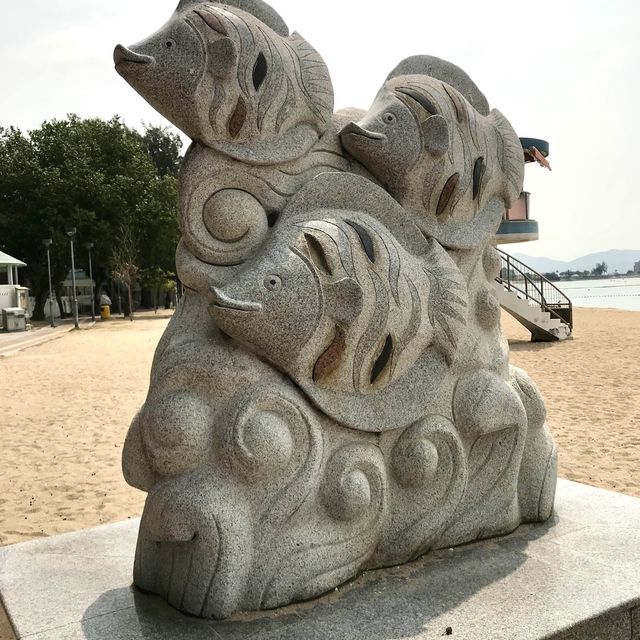 Educational/Storey Telling at Cafeteria Beach