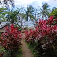 Mauban Beach Resort