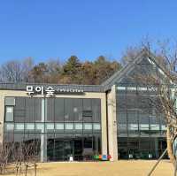 여주 베이커리 카페 무이숲