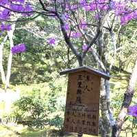 花花世界～天龍寺～熱門景點