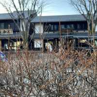 彥根市區和彥根本町趴趴走