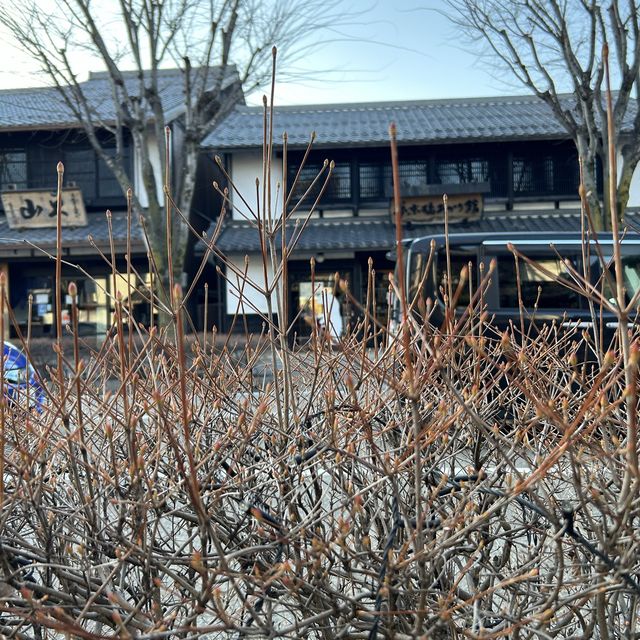 彥根市區和彥根本町趴趴走