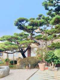분수와 자연과 커피를 한 번에 즐기는 방법 "Kant House"🌿
