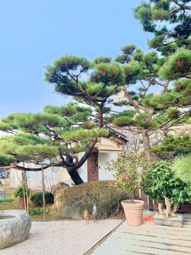 분수와 자연과 커피를 한 번에 즐기는 방법 "Kant House"🌿