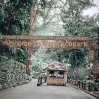 Nature at Its Finest at La Mesa Ecopark 