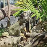 Be Mesmerized at Clark Safari Adventure Park