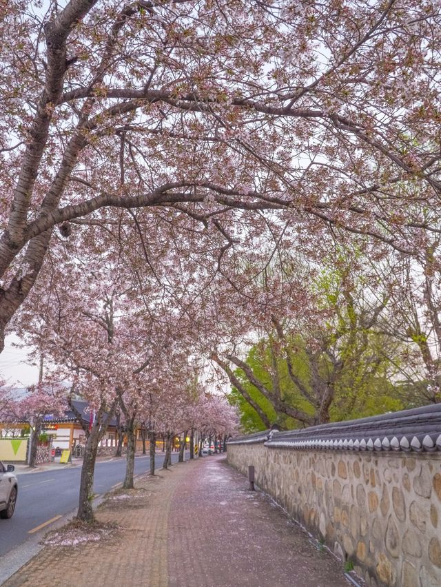 도란도란 이야기 나누며 걷기 좋은 오릉 돌담길
