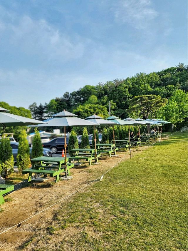 정원뷰가 그저 힐링인 부산근교 숲세권 카페🌳