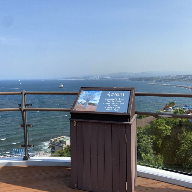 강원도 가볼만한곳 도째비골 스카이밸리