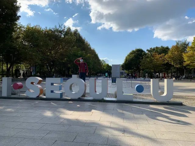 Entering Seoul forest