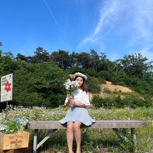 화성에도 생긴 샤스타데이지 꽃밭이 있는 카페! 욕실컨셉의 로얄엑스클럽