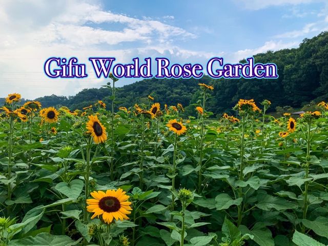 เที่ยวญี่ปุ่น Gifu World Rose Garden 