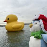 Penguins meet Rubber Ducks