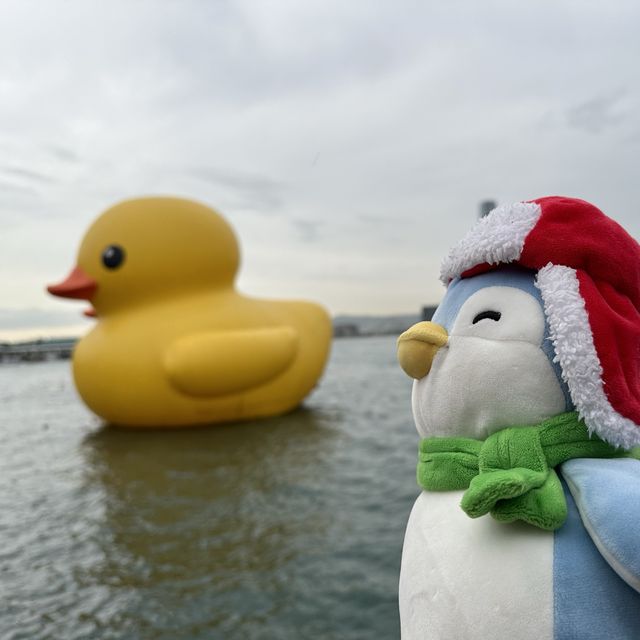 Penguins meet Rubber Ducks